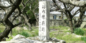 1月20日【今日なんの日】南司農局を河内県、北司農局を摂津県とする。大阪府は大阪市街地だけとなる