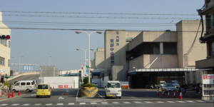 11月20日【今日なんの日】大阪市中央卸売市場東部市場が開業した